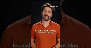 Affaire Parmentier : les preuves du mensonge du RN et de Marine Le Pen #shorts #mediapart