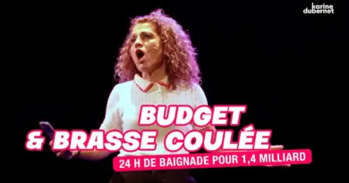 Budget & Brasse coulée ! 💥 LE POINT DUBERNET