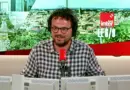 Comment expliquer la baisse de la natalité ?