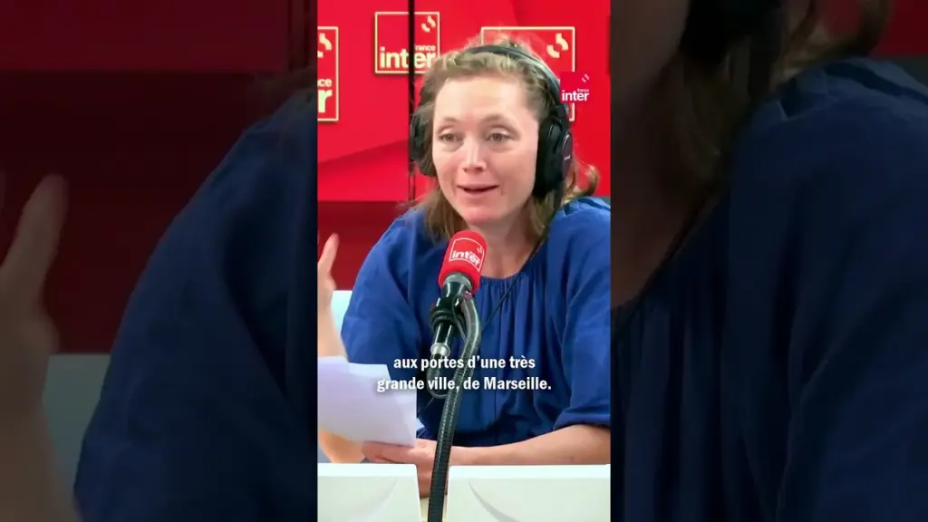 « Guerre du feu » : la France a-t-elle les armes pour se protéger ?