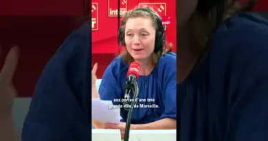 « Guerre du feu » : la France a-t-elle les armes pour se protéger ?