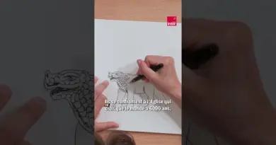 La Leçon de dessin : comment dessiner les dinosaures