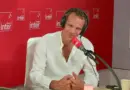 Vincent Doumeizel : le plancton est « la base de la vie sur Terre »