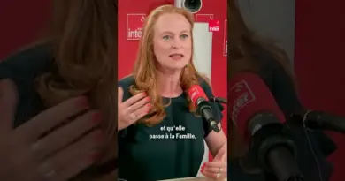 Violences à l’école : « Il y a eu une défaillance claire de l’État »